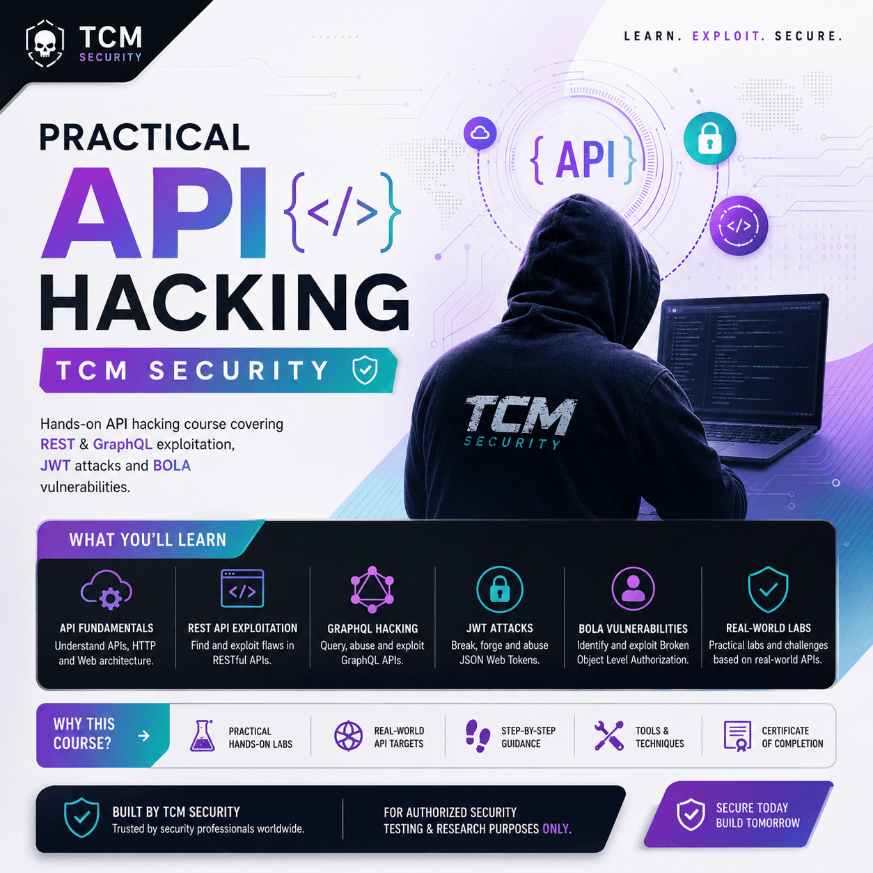 Practical API Hacking TCM